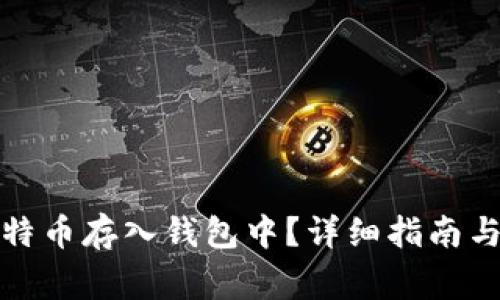 如何把比特币存入钱包中?详细指南与注意事项
