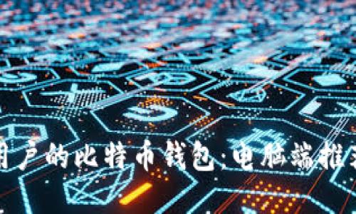 : 适合普通用户的比特币钱包：电脑端推荐与使用指南