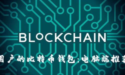 : 适合普通用户的比特币钱包：电脑端推荐与使用指南