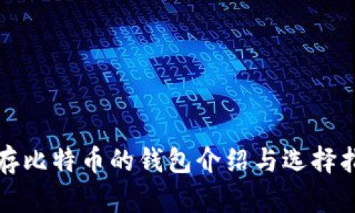 储存比特币的钱包介绍与选择指南