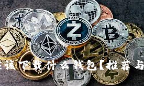 : USDT应该下载什么钱包?推荐与选择指南