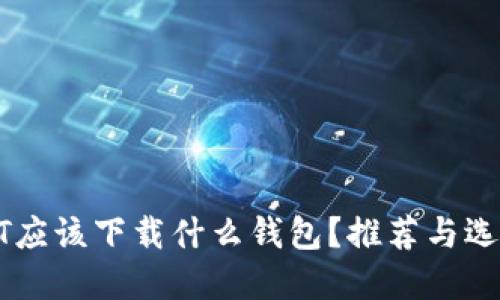 : USDT应该下载什么钱包?推荐与选择指南