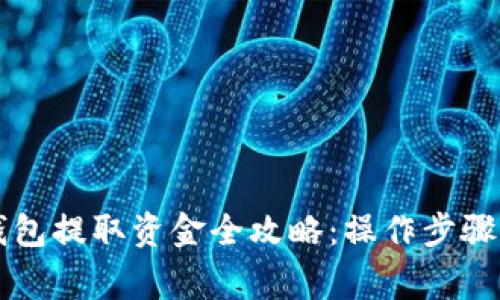 区块链冷钱包提取资金全攻略:操作步骤与注意事项