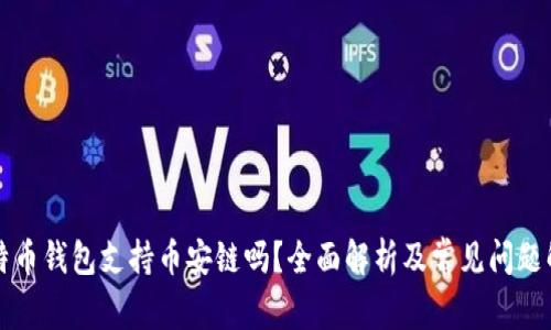 比特币钱包支持币安链吗?全面解析及常见问题解答