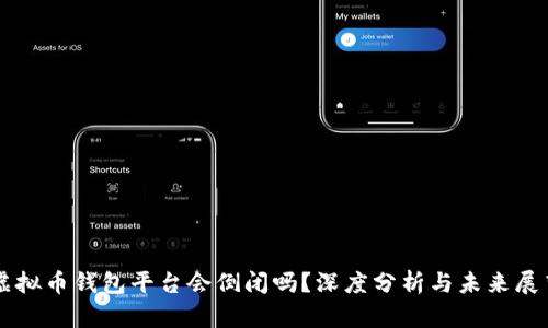 虚拟币钱包平台会倒闭吗?深度分析与未来展望