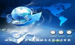 比特币前十大钱包地址及