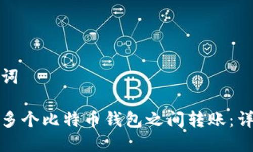 和关键词
如何在多个比特币钱包之间转账:详细指南