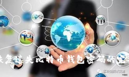 如何恢复遗失比特币钱包密码的完整指南