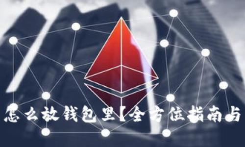 : 虚拟币怎么放钱包里?全方位指南与实用技巧