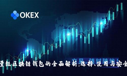 轻量级区块链钱包的全面解析：选择、使用与安全性