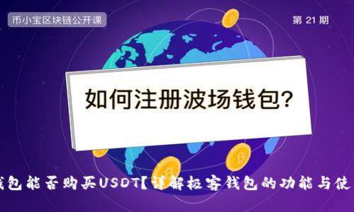 极客钱包能否购买USDT?详解极客钱包的功能与使用指南