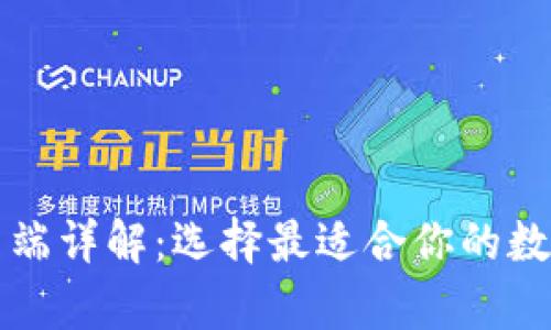 比特币钱包客户端详解:选择最适合你的数字货币管理工具
