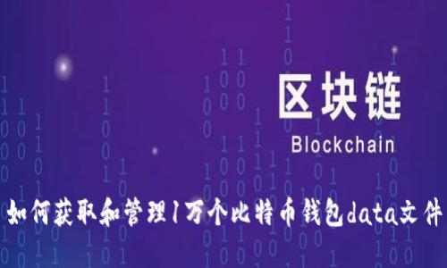 如何获取和管理1万个比特币钱包data文件