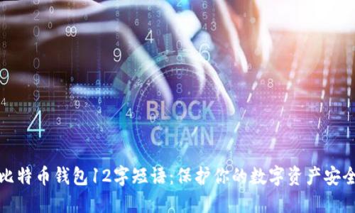 比特币钱包12字短语:保护你的数字资产安全
