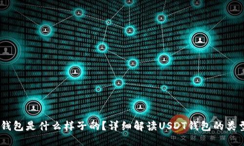 USDT的钱包是什么样子的？详细解读USDT钱包的类型与功能