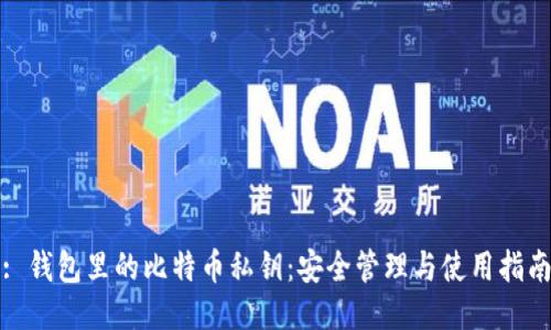 : 钱包里的比特币私钥：安全管理与使用指南