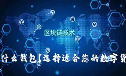 买虚拟币用什么钱包？选择适合您的数字货币钱包指南