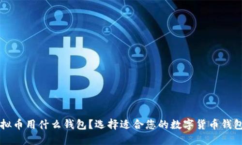 买虚拟币用什么钱包？选择适合您的数字货币钱包指南