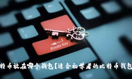 : 比特币放在哪个钱包?适合初学者的比特币钱包指南