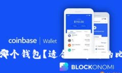 : 比特币放在哪个钱包？适
