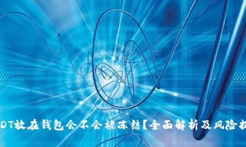 USDT放在钱包会不会被冻结?全面解析及风险提示