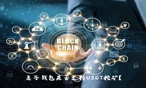麦子钱包是否支持USDT挖矿？