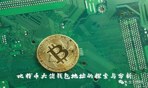 比特币大佬钱包地址的探索与分析
