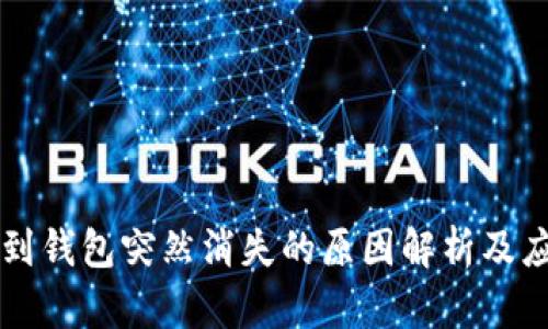 比特币到钱包突然消失的原因解析及应对方法