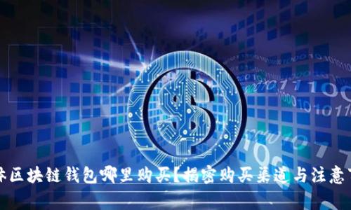 实体区块链钱包哪里购买?揭密购买渠道与注意事项