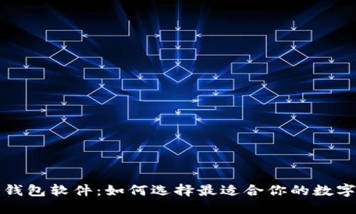 类似区块链的钱包软件:如何选择最适合你的数字资产管理工具