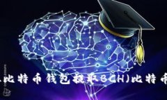 如何从比特币钱包提取B