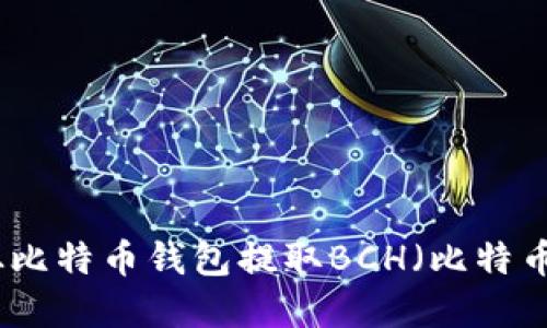 如何从比特币钱包提取BCH(比特币现金)