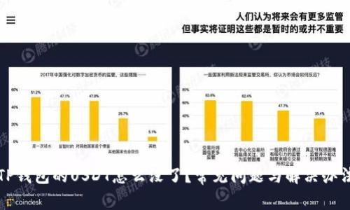 TP钱包的USDT怎么没了?常见问题与解决办法