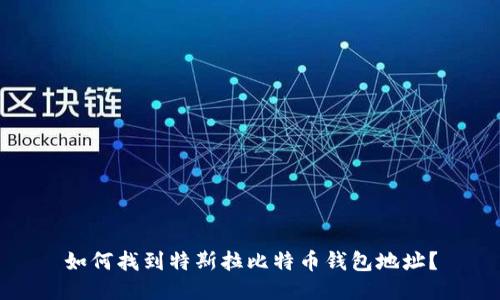 如何找到特斯拉比特币钱包地址?