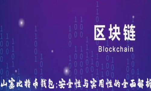山寨比特币钱包:安全性与实用性的全面解析
