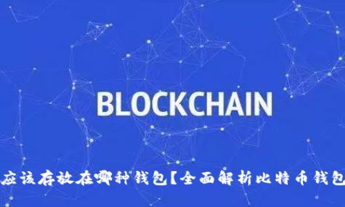 比特币应该存放在哪种钱包?全面解析比特币钱包的选择