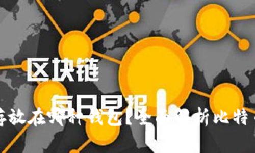 比特币应该存放在哪种钱包?全面解析比特币钱包的选择