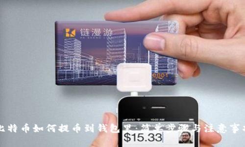 比特币如何提币到钱包里:简单步骤与注意事项