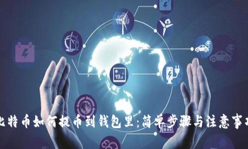 比特币如何提币到钱包里:简单步骤与注意事项