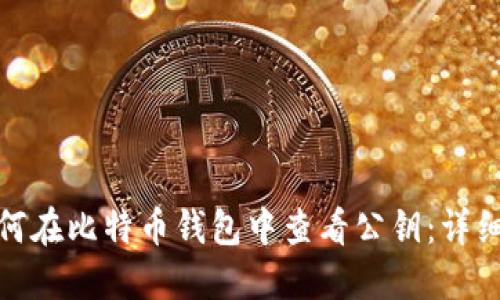 : 如何在比特币钱包中查看公钥:详细指南