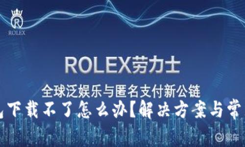 比特币钱包下载不了怎么办？解决方案与常见问题解析