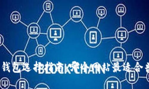 : 区块链钱包选择指南:哪个网站最适合普通用户?