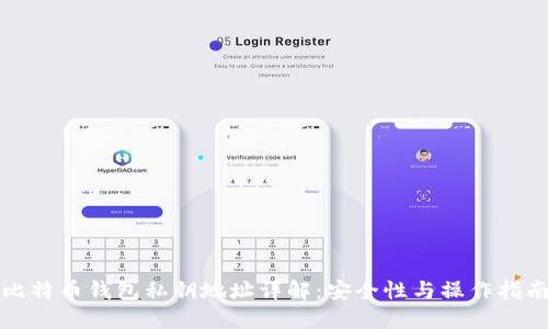 比特币钱包私钥地址详解:安全性与操作指南