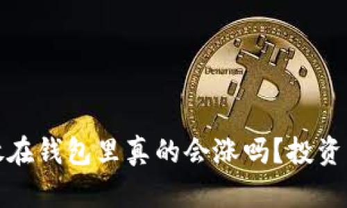 : 比特币放在钱包里真的会涨吗?投资者必读指南