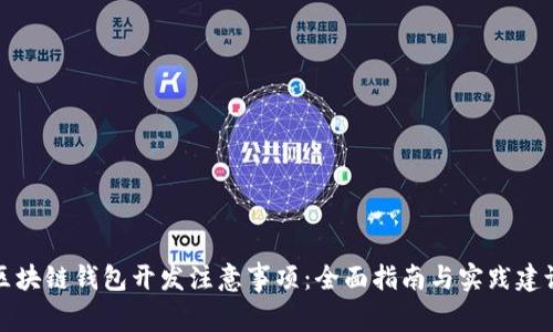 区块链钱包开发注意事项:全面指南与实践建议
