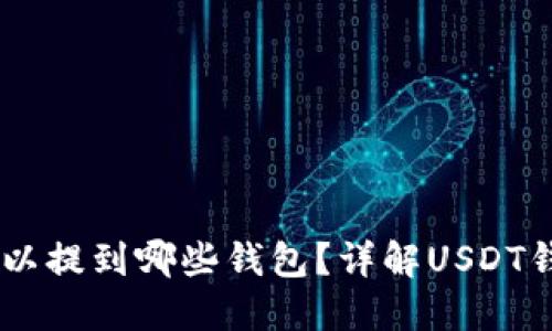 USDT可以提到哪些钱包?详解USDT钱包选择