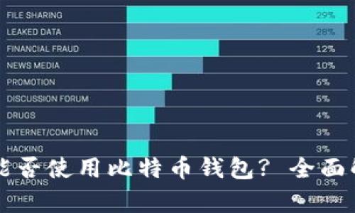 华为手机能否使用比特币钱包? 全面解析与推荐
