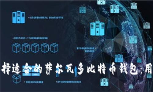 如何选择适合的萨尔瓦多比特币钱包:用户指南