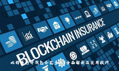 比特币打开钱包会花多久?全面解析及使用技巧