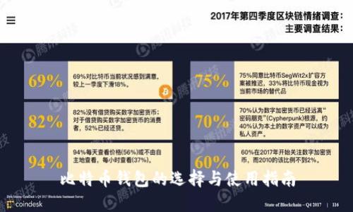 比特币钱包的选择与使用指南